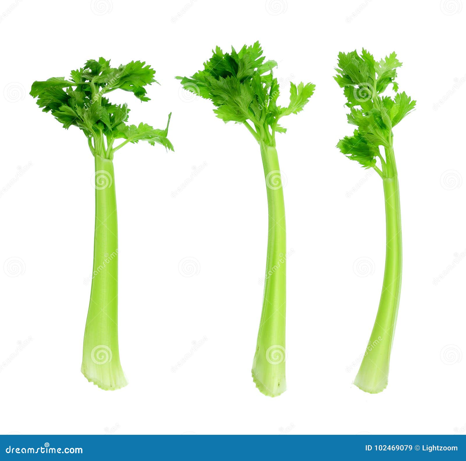 Celery Stalks stock image. Image of stalks, still, nutrition 102469079