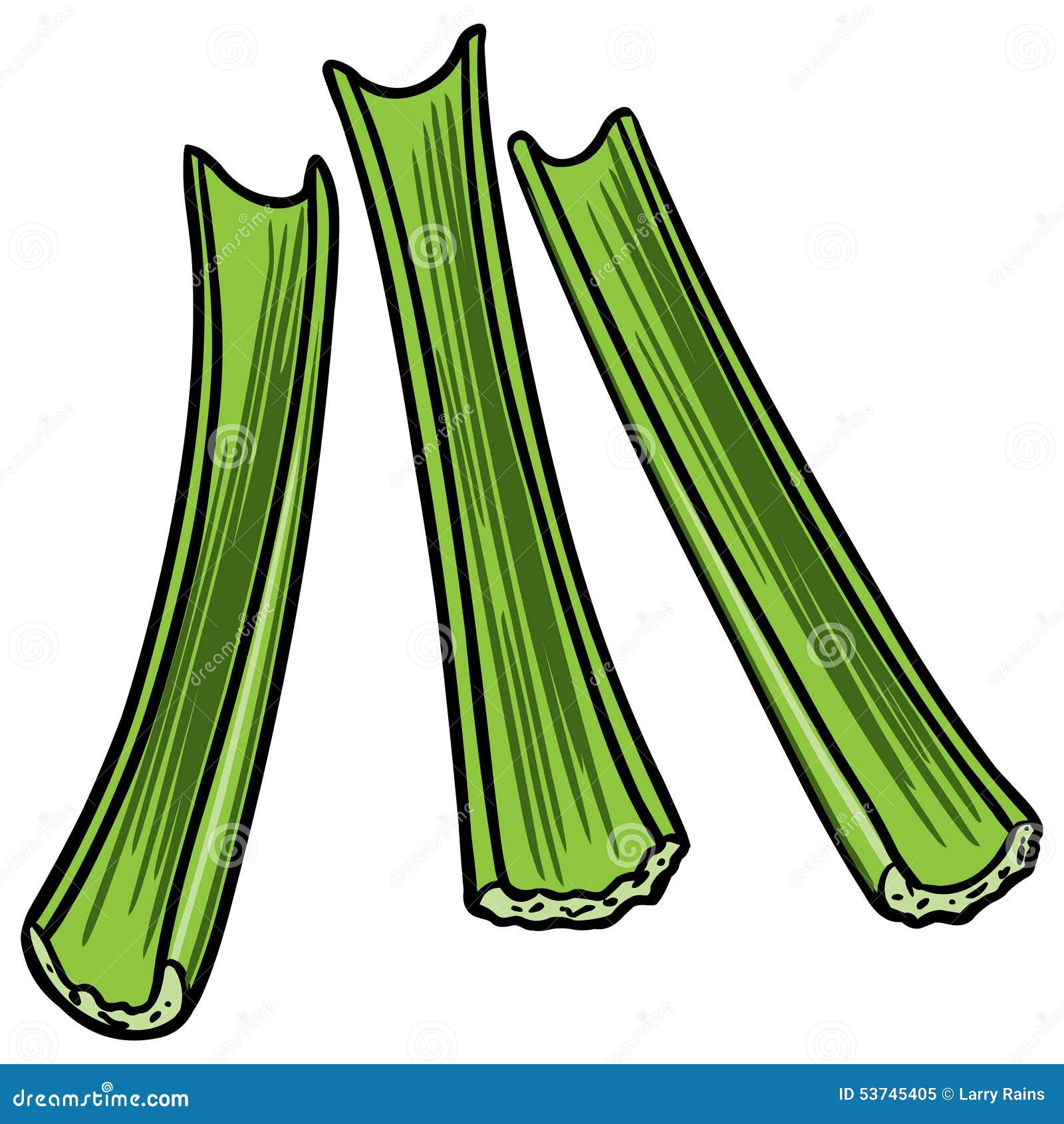 Featured image of post How To Draw Celery This drawing for beginners tutorial offers art lessons for beginners easy drawing exercises for all and a great way to improve your technique