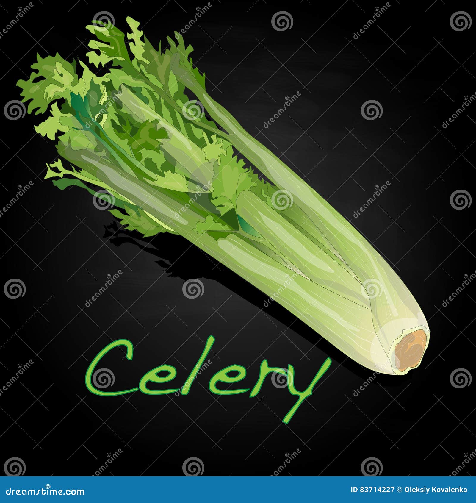 Celery vector illustration stock vector. Illustration of root 83714227