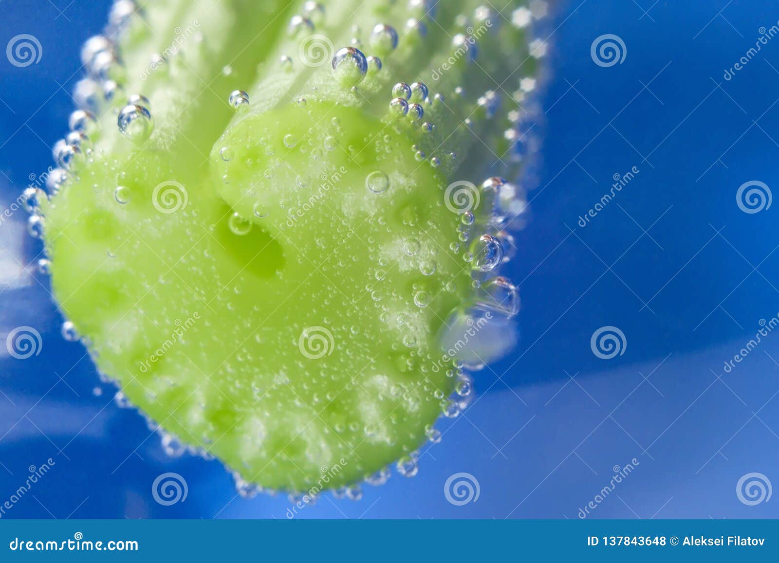 Celery in the water stock photo. Image of nutrition 137843648