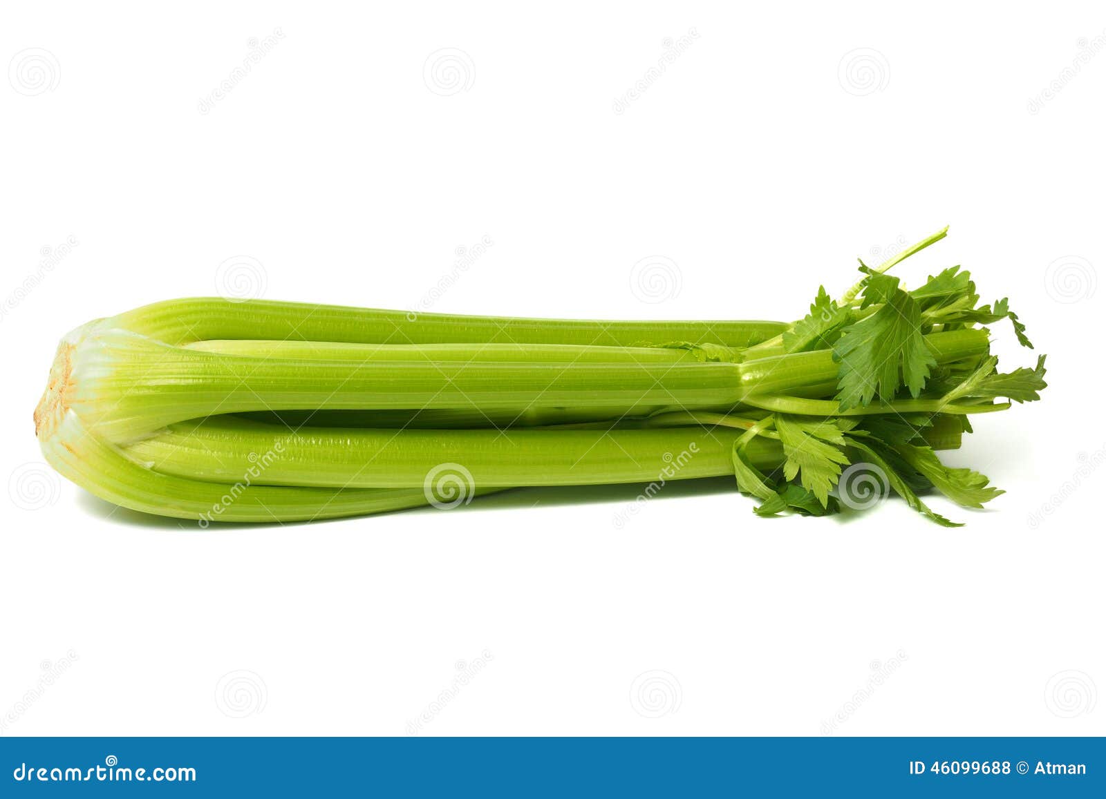 Celery on White stock photo. Image of food, vegetables 46099688