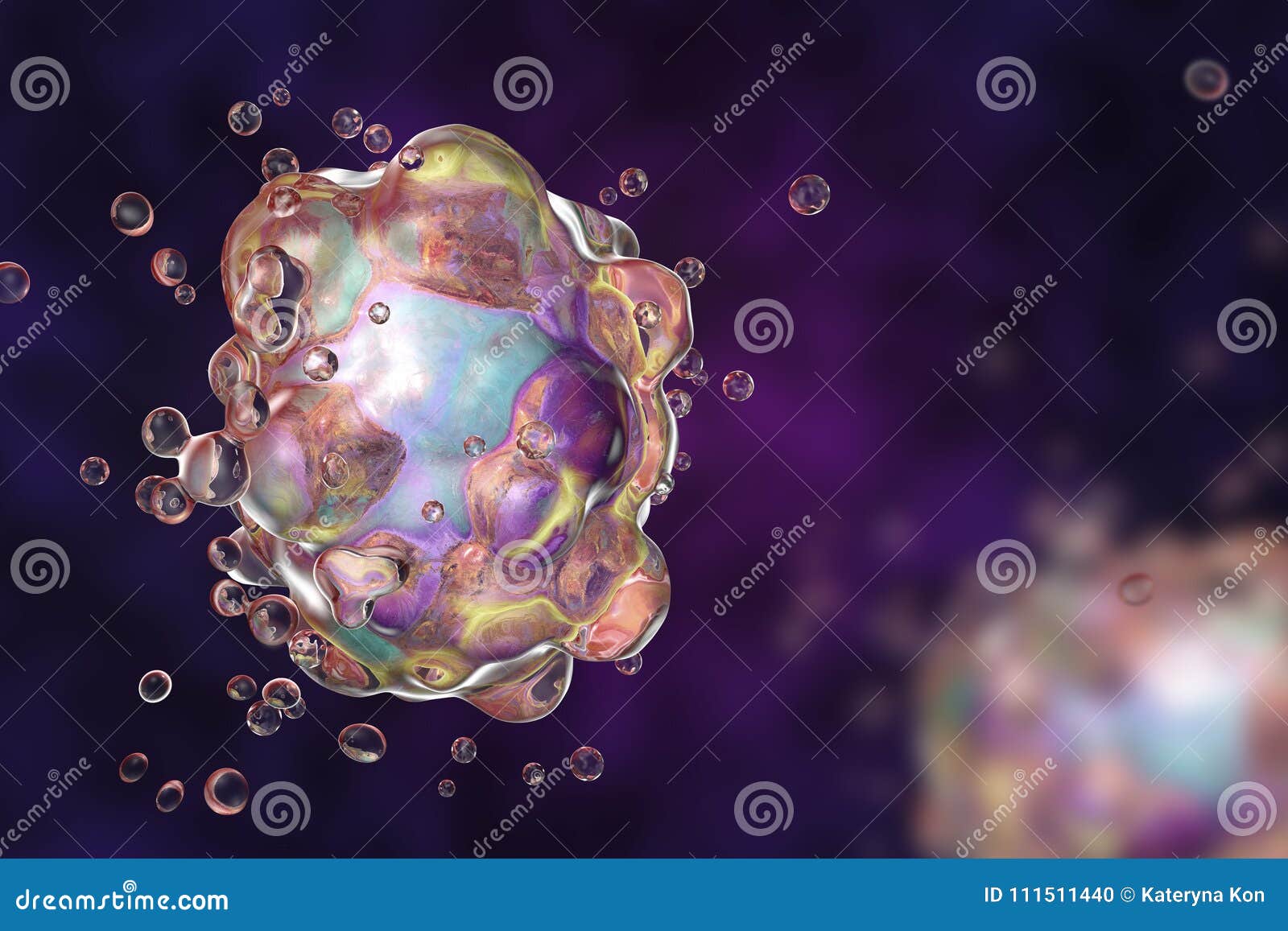 cell apoptosis 