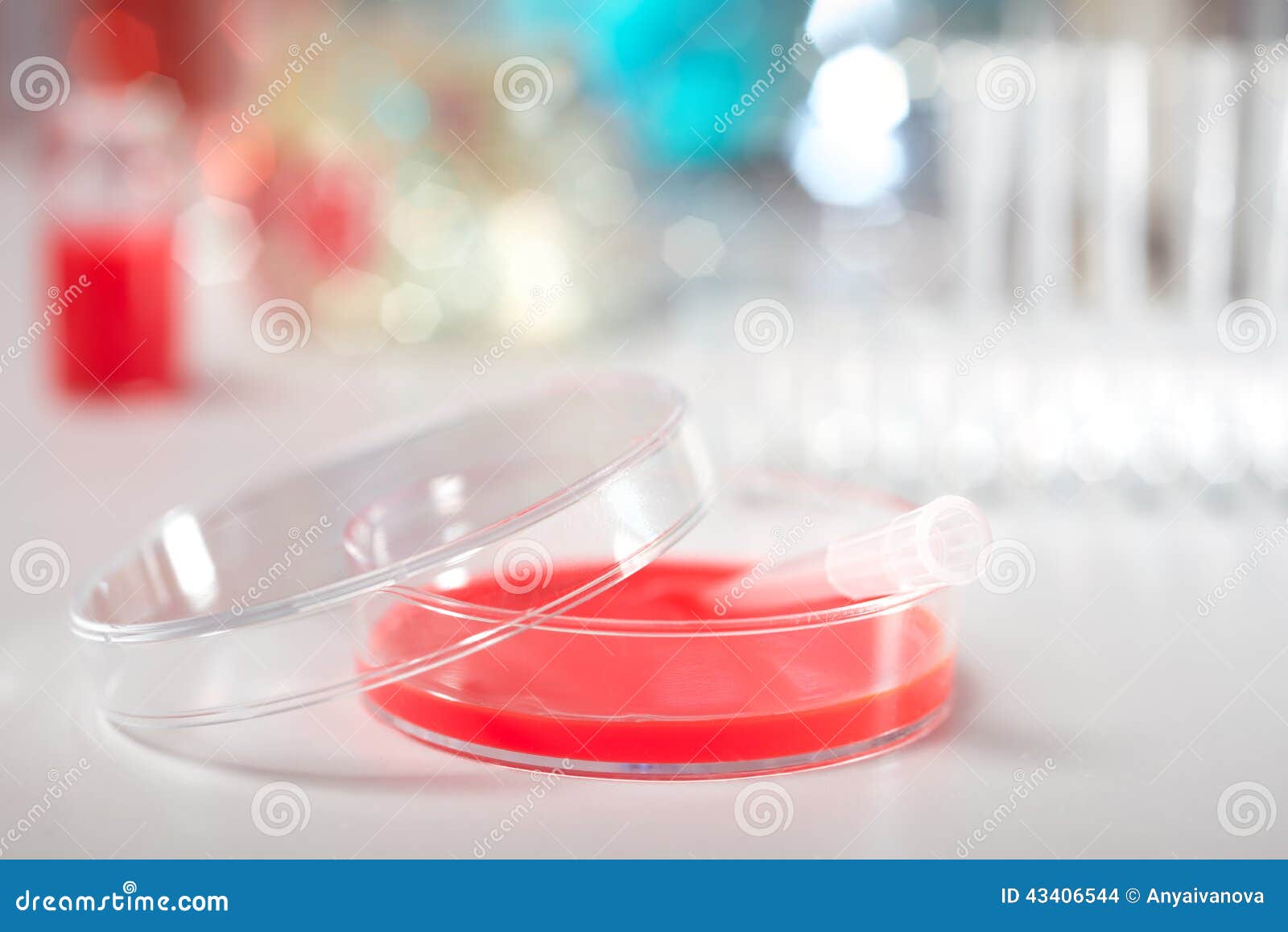 Cell culture dish stock photo. Image of plasticware, sample 43406544