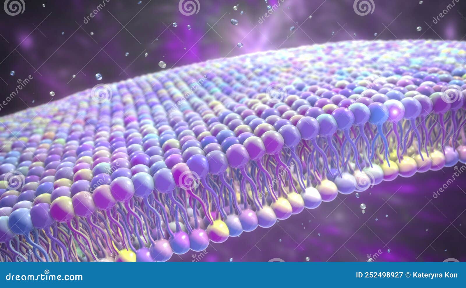 Cell Membrane 3D Illustration CartoonDealer 252498927 cell-membrane-3d-illustration-cartoondealer-252498927