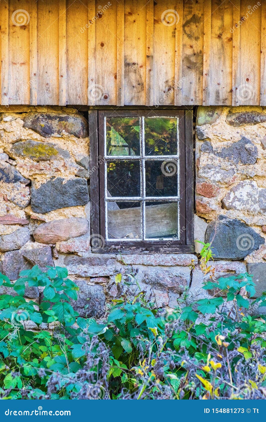 Cellar Window On An Old House With A Wild Garden Stock Image