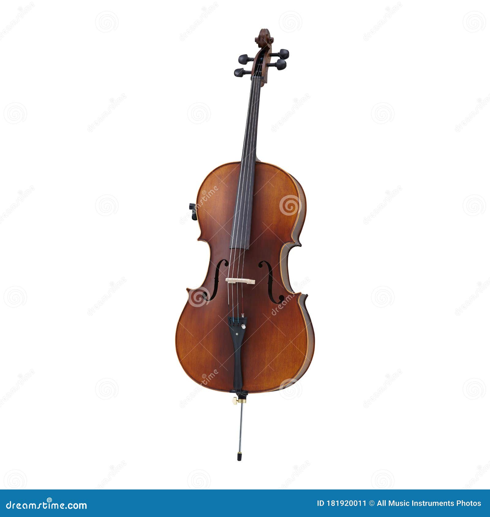 cello, cellos, classic music instrument  on white background, musician