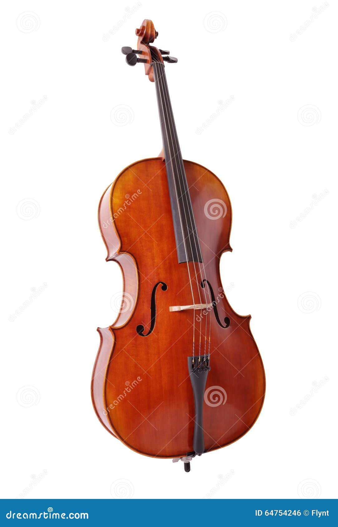 cello  on white background