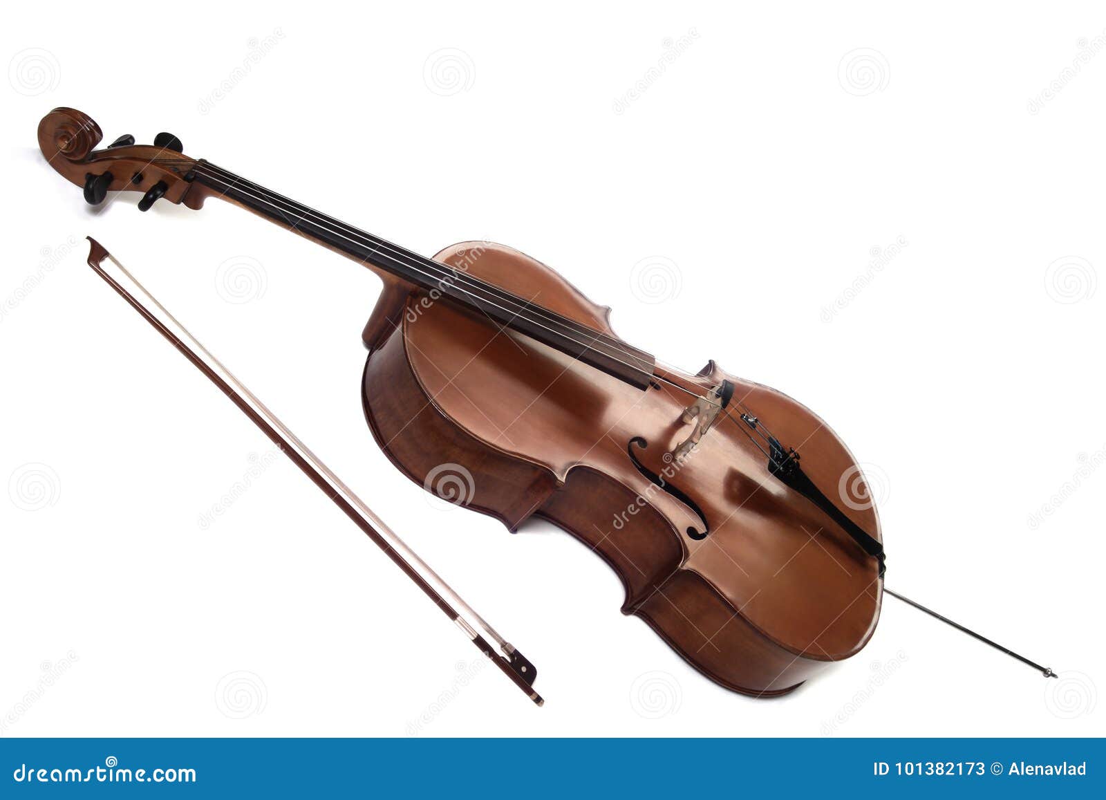cello musical instruments  on white