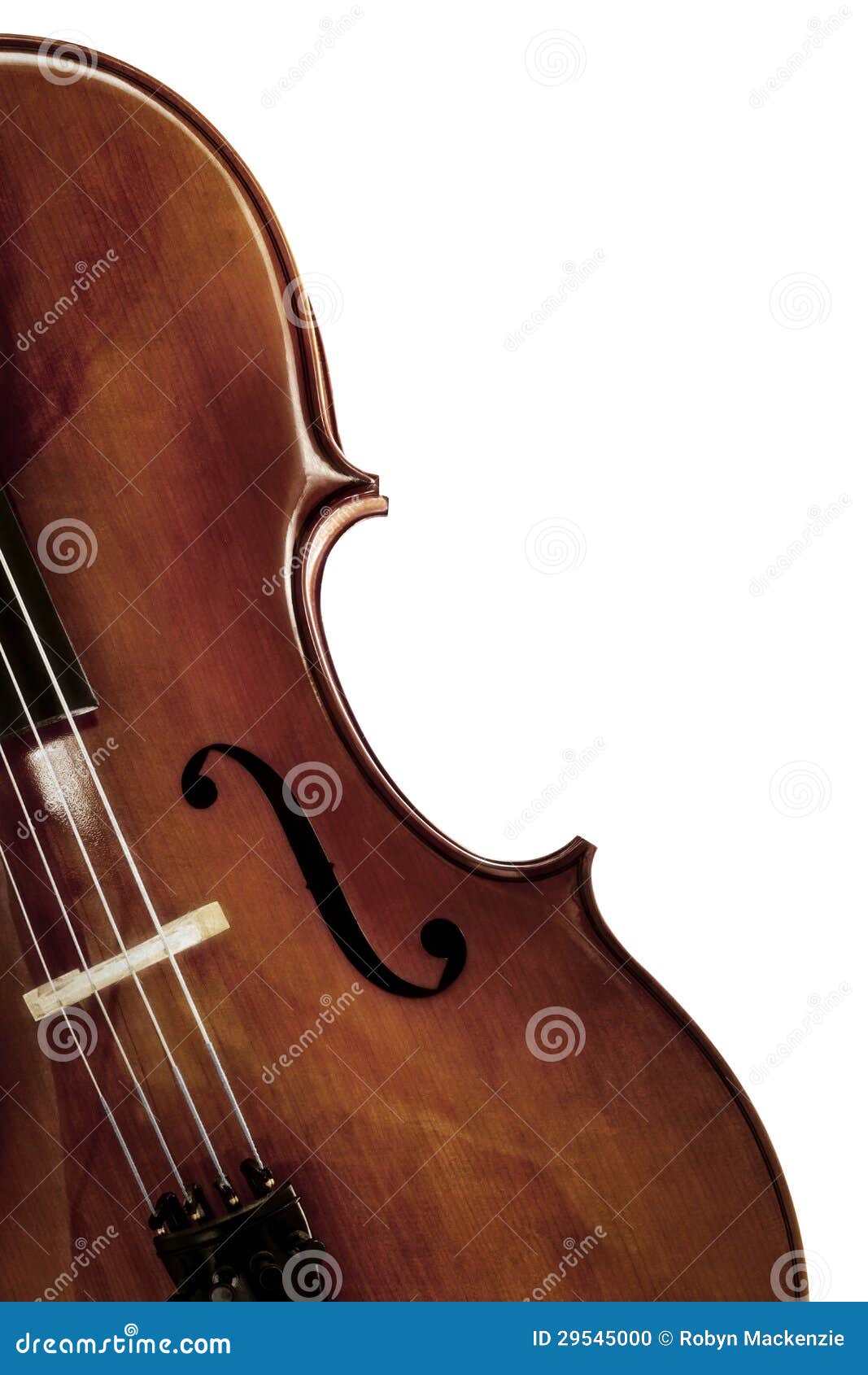 cello over white