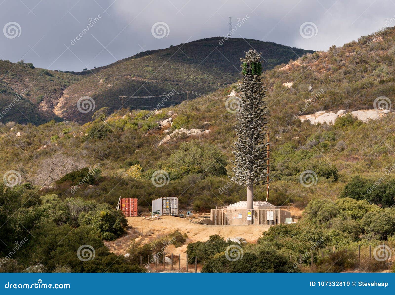 cellphone mobile transmission tower disguised as a fir tree in california