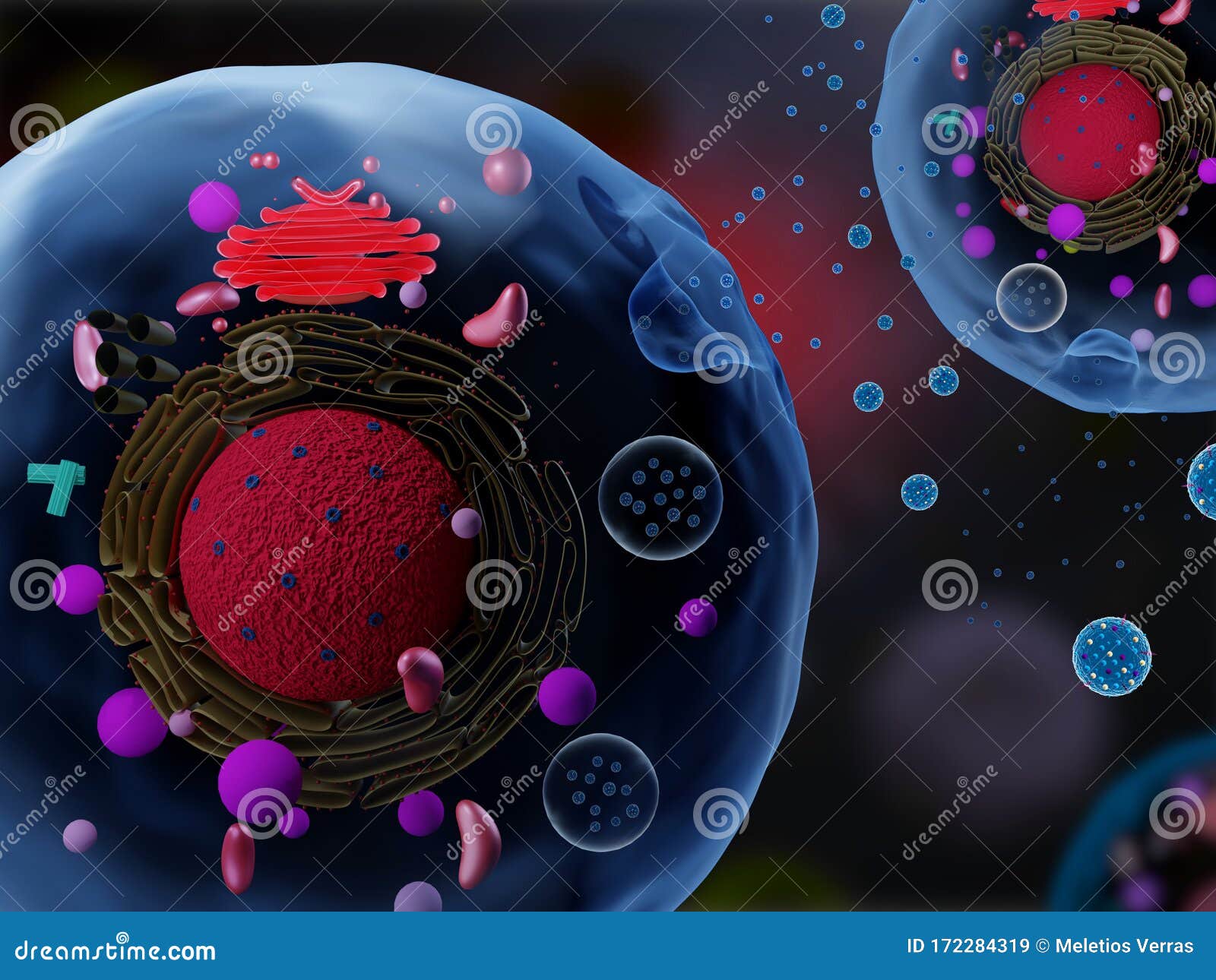Cells secreting exosomes stock illustration. Illustration of biomedical ...