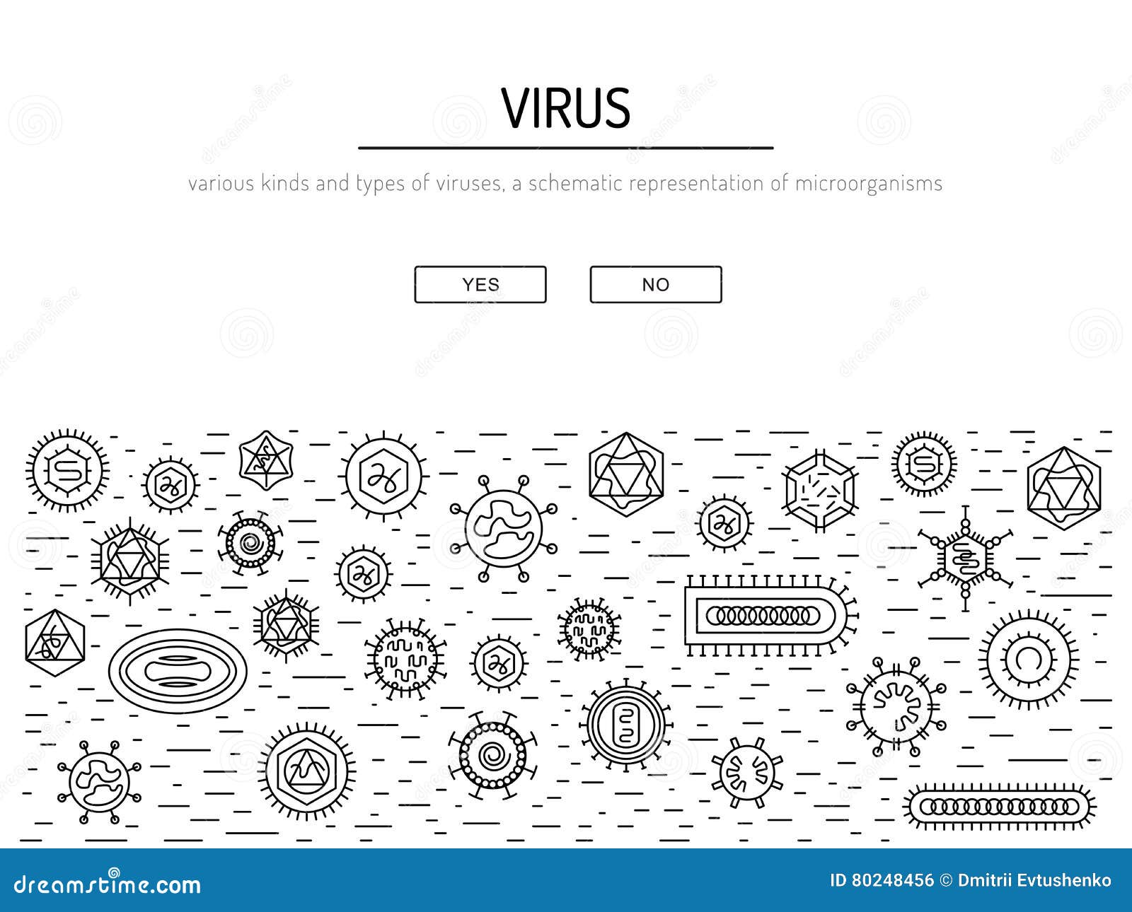 cells of viruses and bacteria