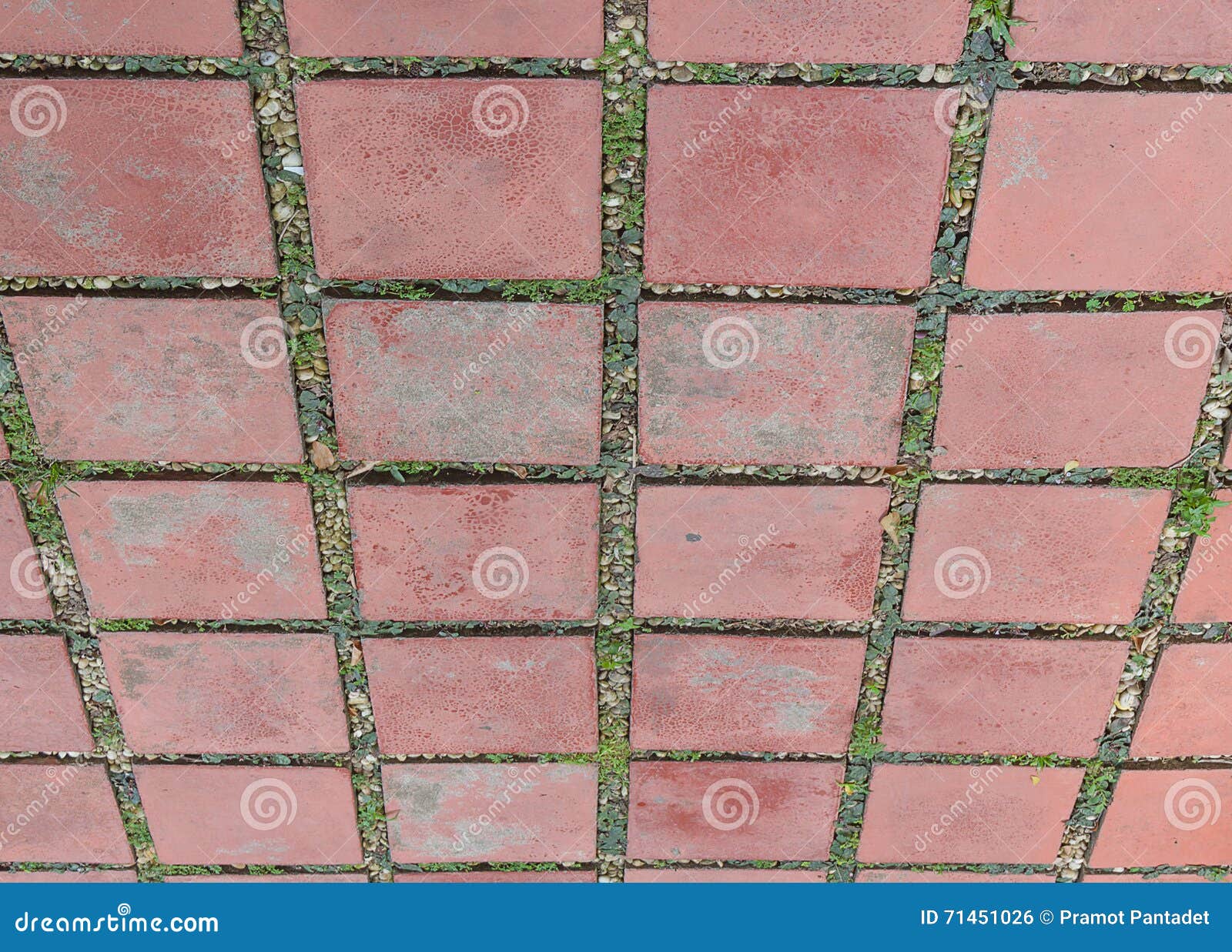 Cement Block Pathway Stock Photography CartoonDealer 71451026 cement-block-pathway-stock-photography-cartoondealer-71451026