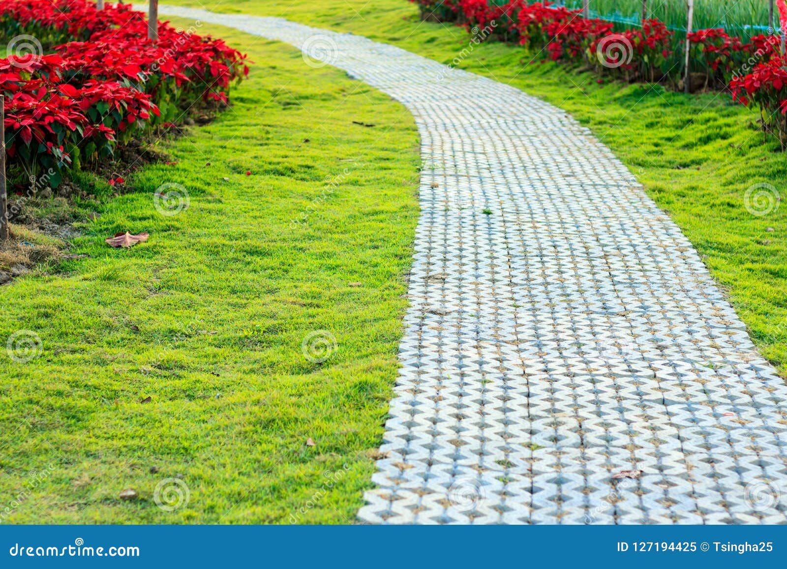 Cement Block Walkway On Grass Field In The Garden Stock Image