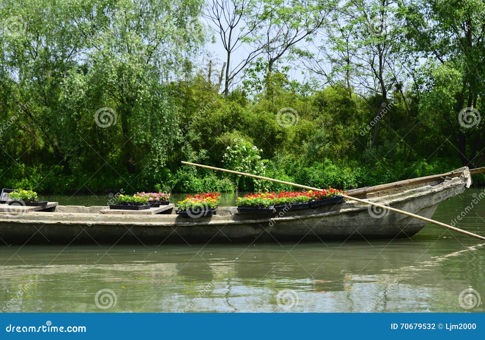 Cement boat by lake stock photo. Image of boat, greenery - 70679532