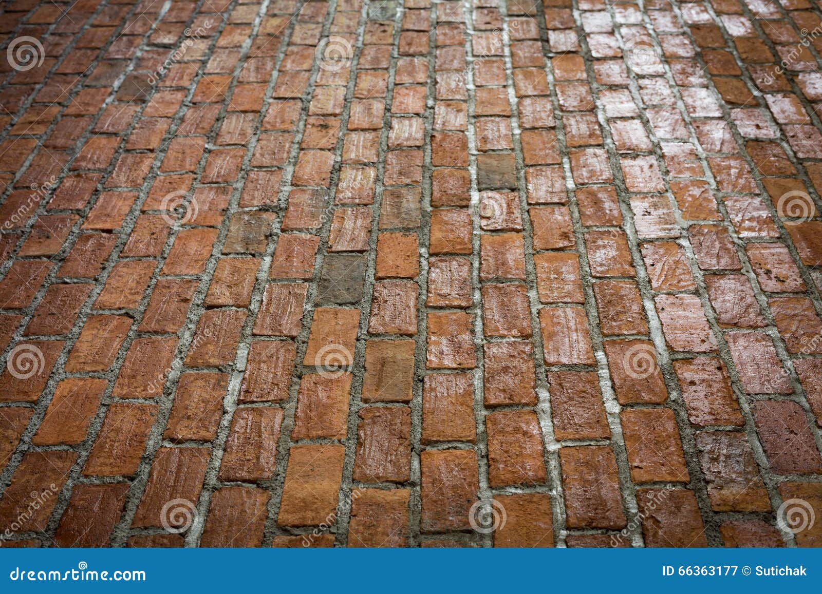 Cement and Brick Floor Texture Background Stock Image Image of aged