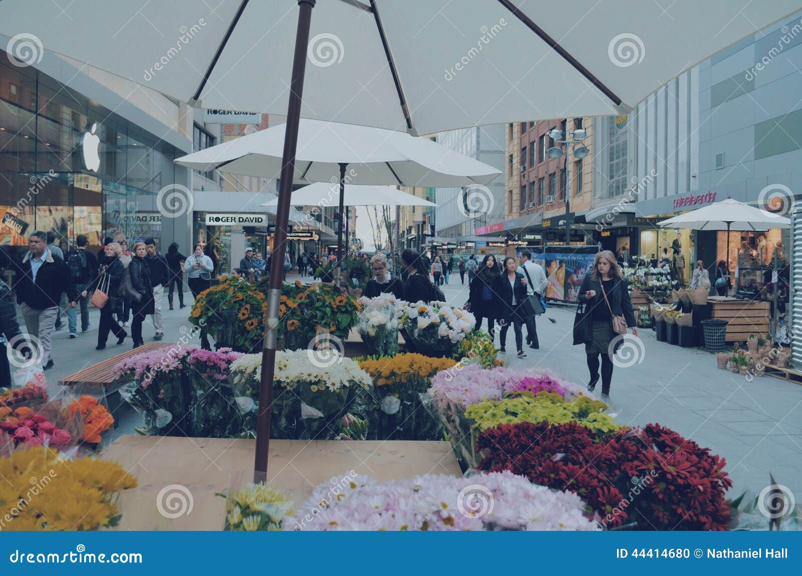 Cement Flowers editorial image. Image of marketplace 44414680