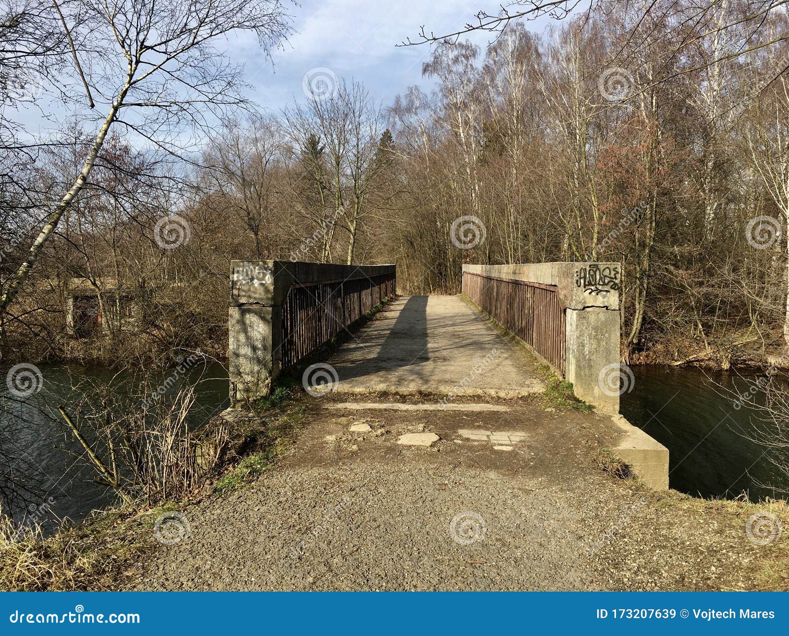 cemento iron concrete bridge leading over pond to small forest