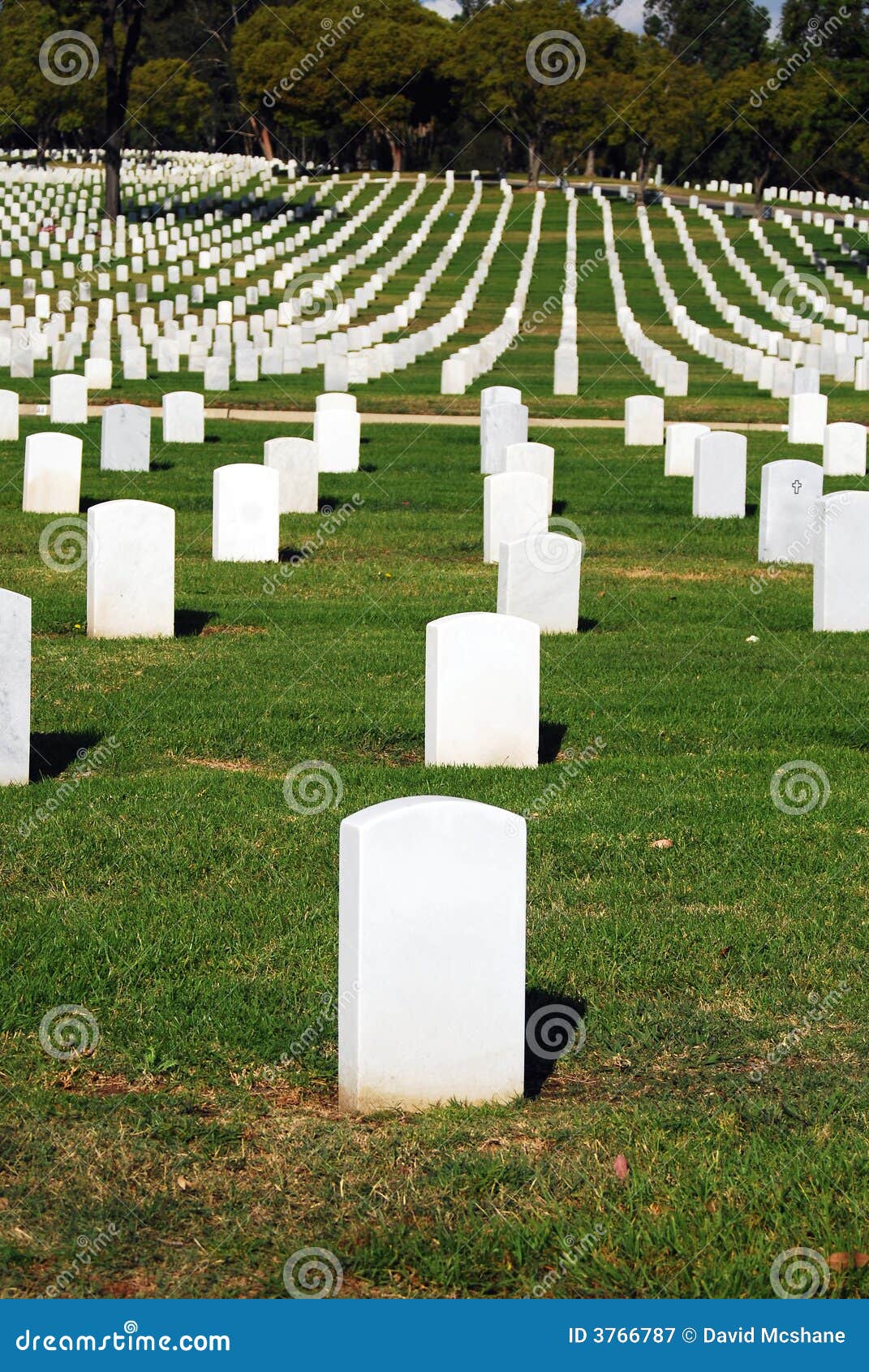 cemetary with white tombstones