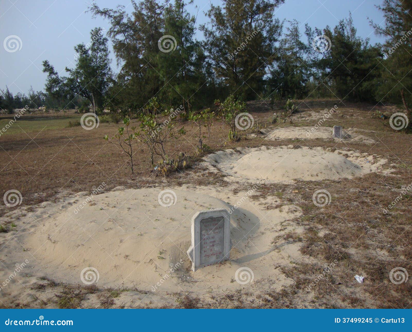 Cemetery on the beach editorial image. Image of buda 37499245