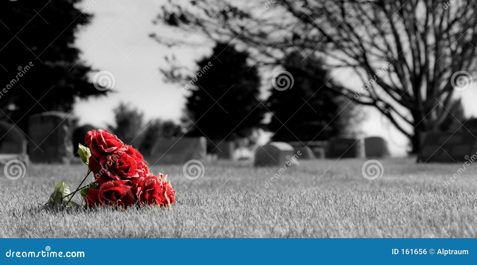 Cemetery Flowers Royalty Free Stock Image - Image: 161656