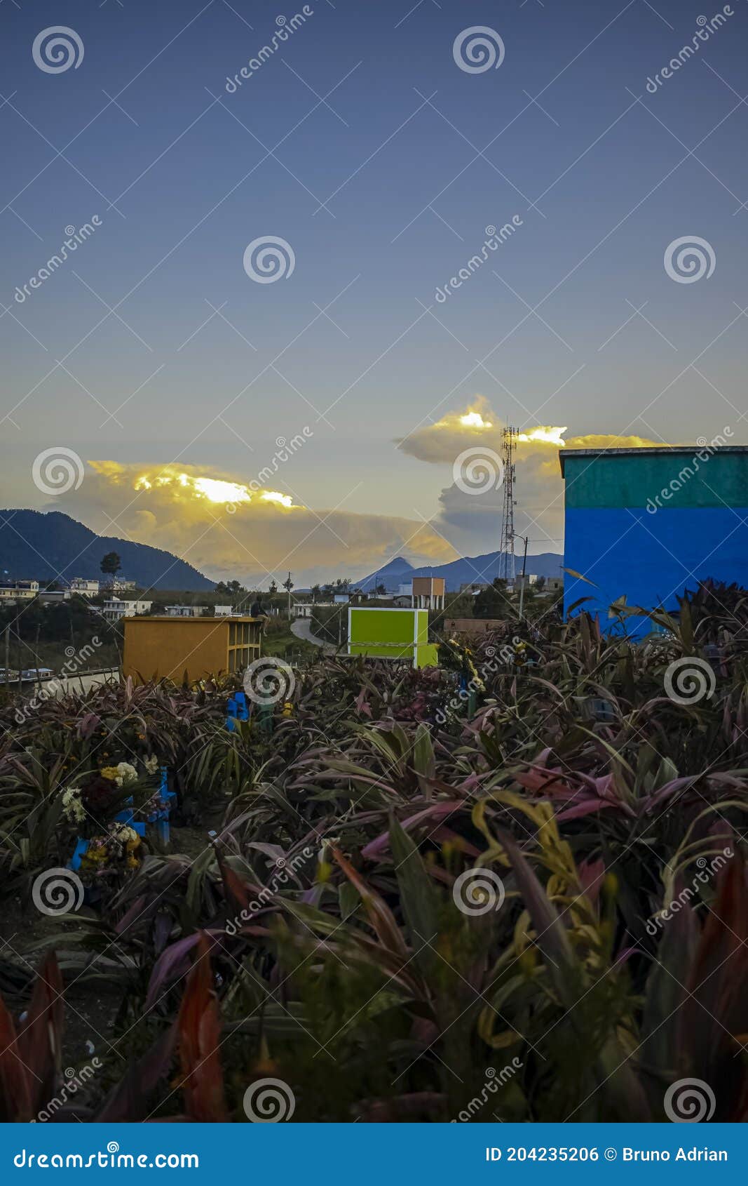 cemetery with flowers and sunset  cajola