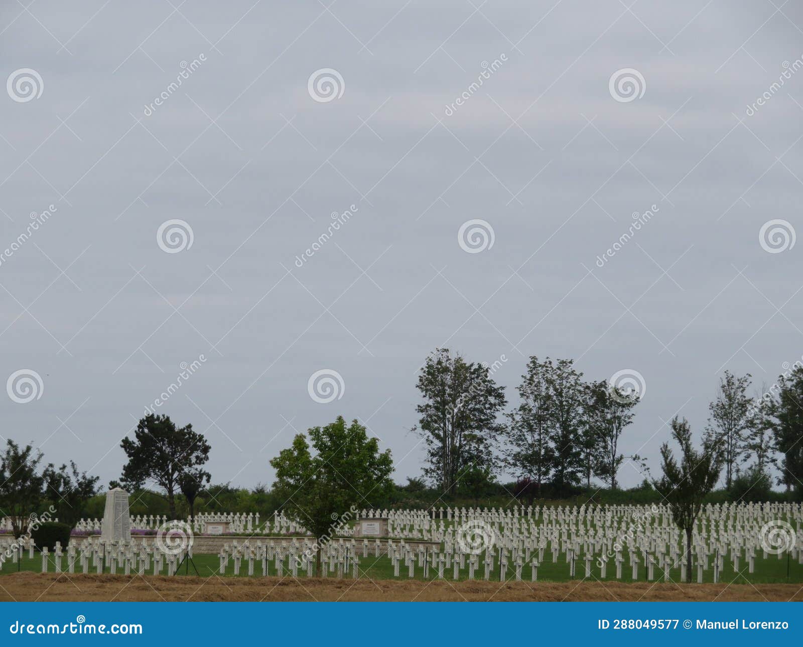 cemetery full of military crosses fallen in the war order