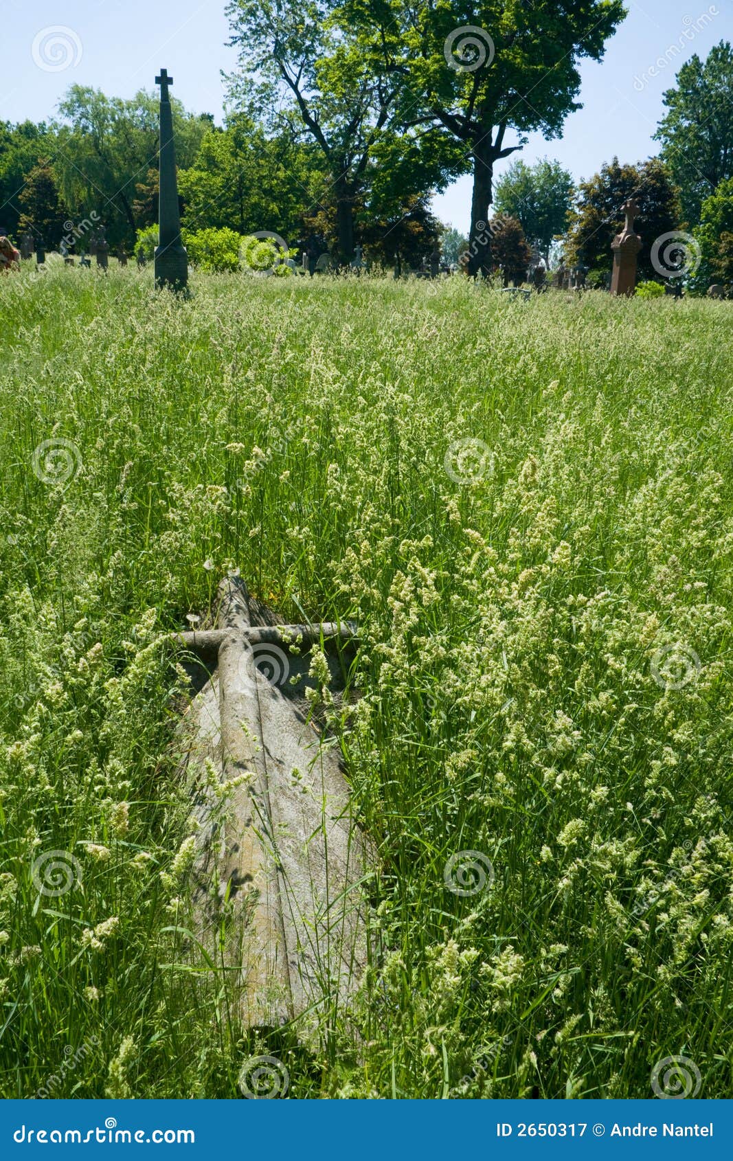Cemetery with high grass stock image. Image of grass, field 2650317