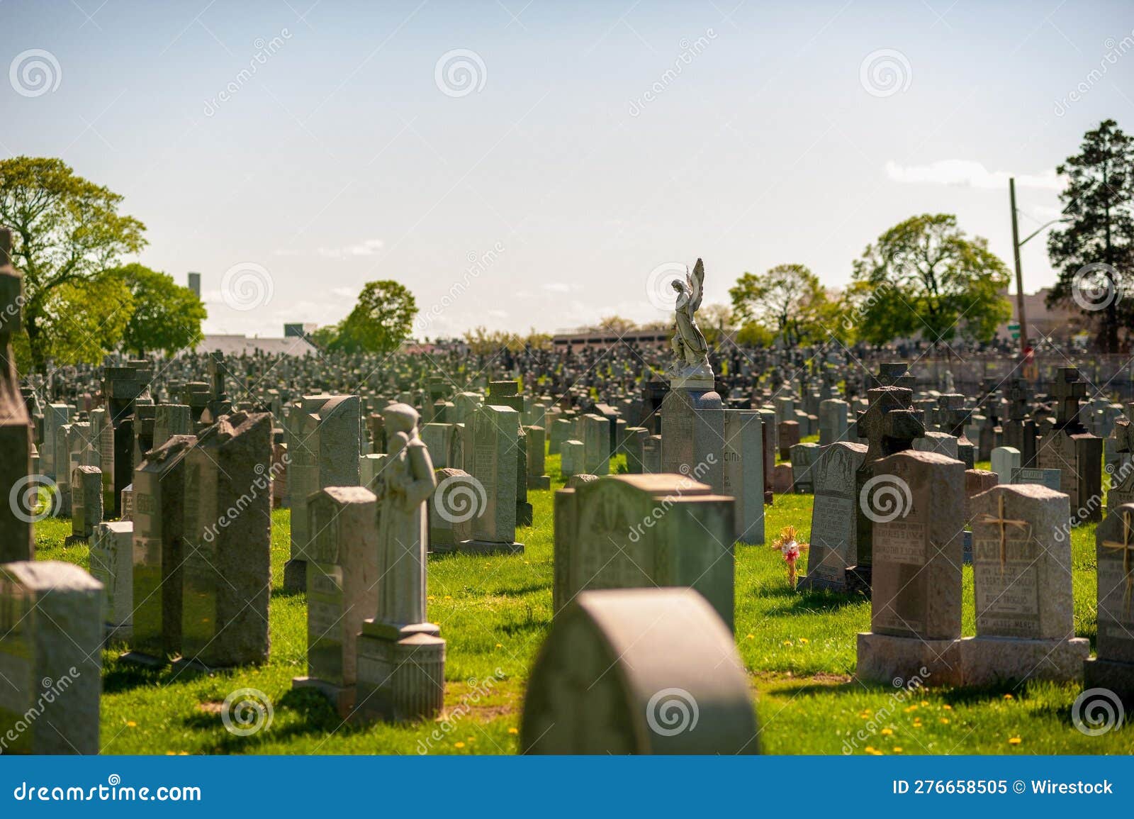 Cemetery with Multiple Gravestones and Statues Situated in the Grass