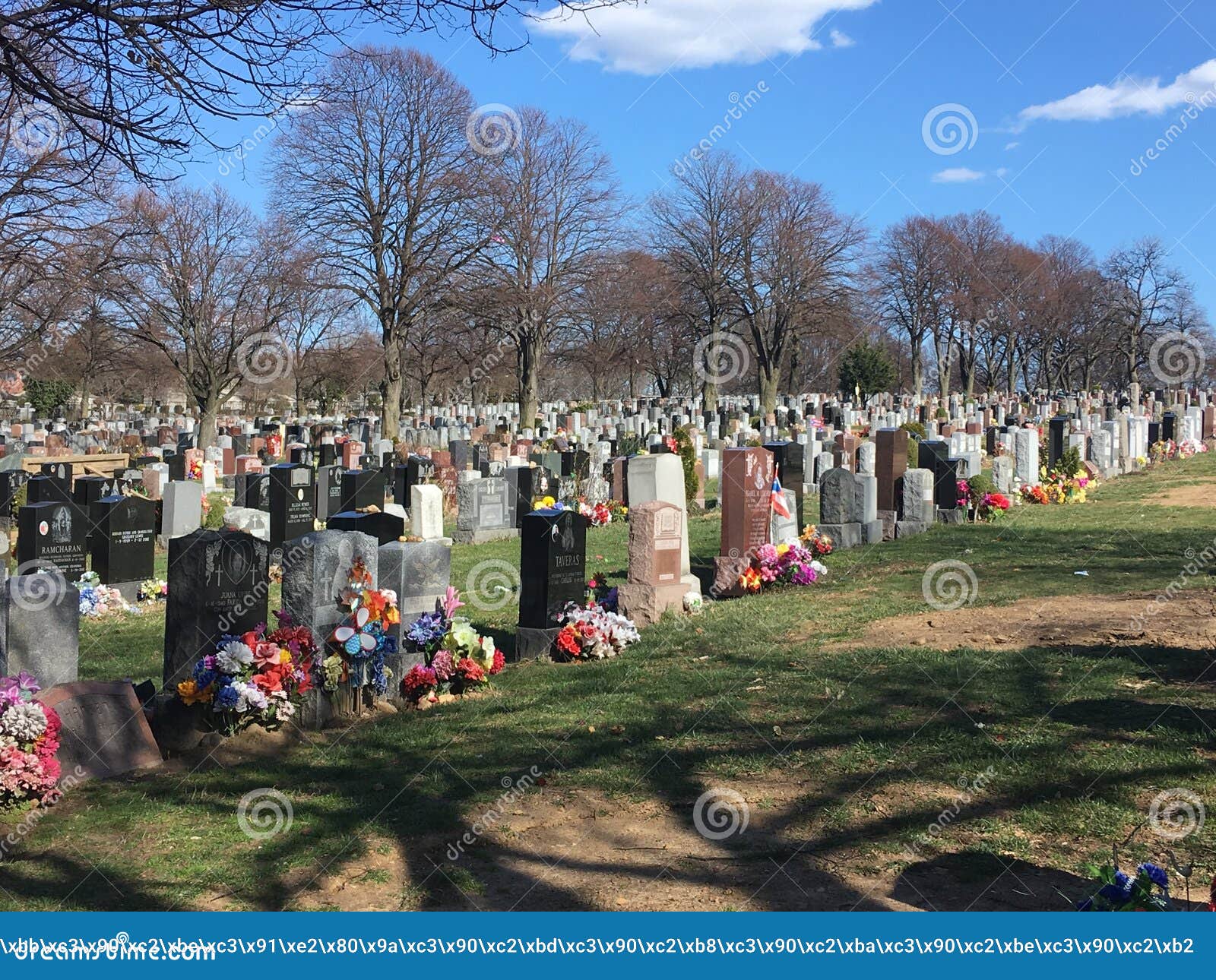 Cemetery New York City Stock Photos Download 181 Royalty Free Photos