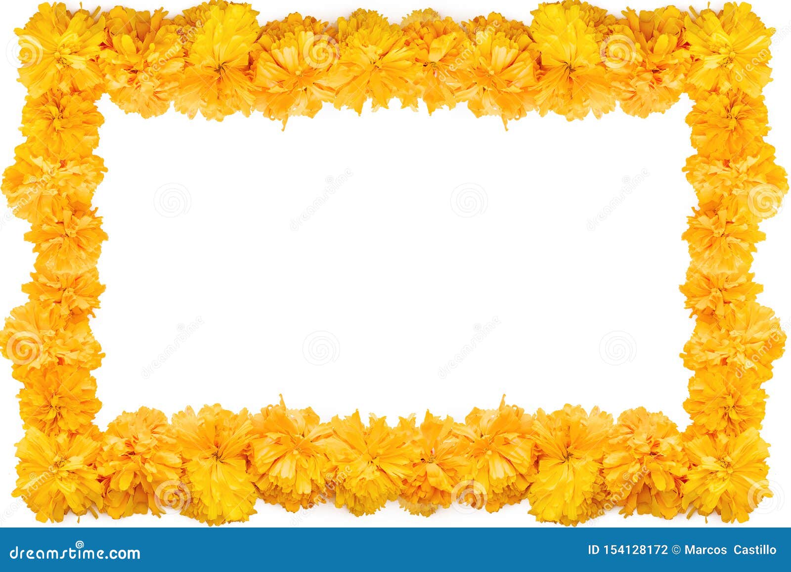 Cempasuchil Flower Frame, Mexican Flower of the Day of the Dead in Mexico  Stock Photo - Image of culture, halloween: 154128172