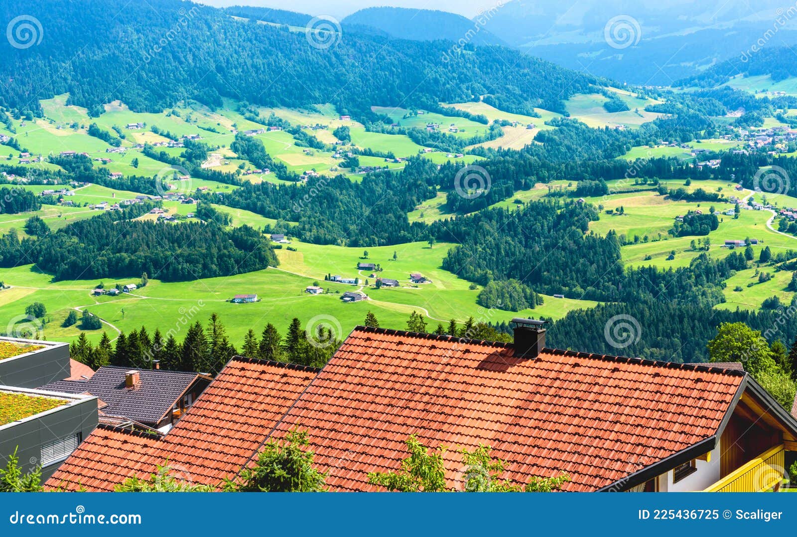 Fundo de cenário de floresta de verão