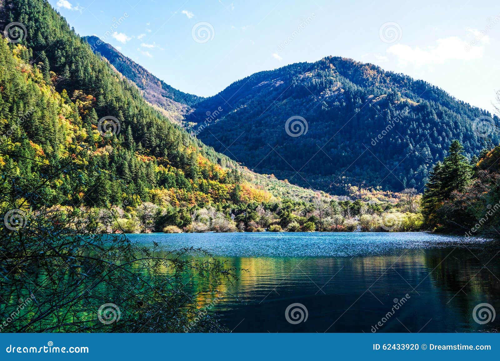 Cenário de floresta com lago e montanhas