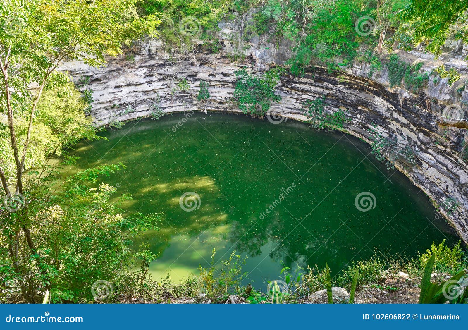 cenote sagrado sacred sinkhole chichen itza