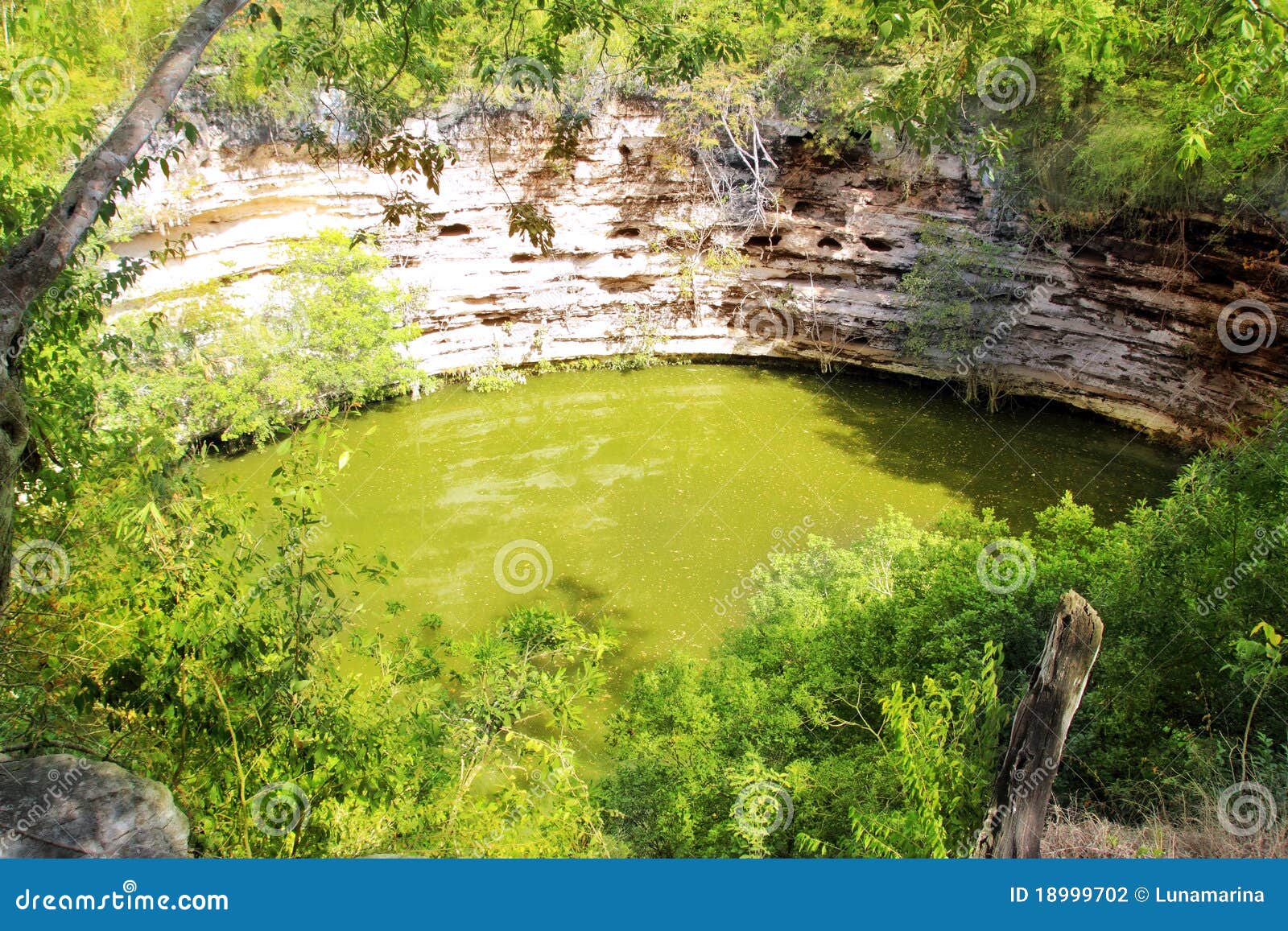 cenote sagrado xtoloc sacred well chichen itza