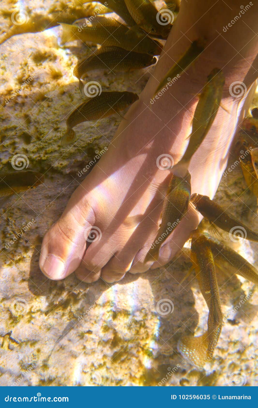 cenotes mexico fishes suck feet dead skin