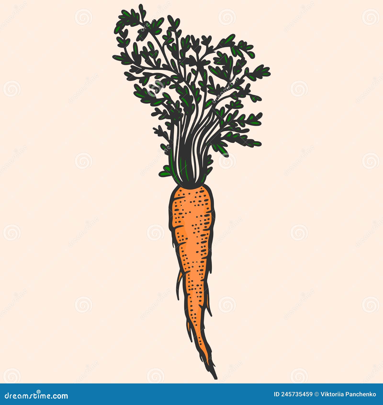 Vegetal dos desenhos animados - cenoura do esboço. cara vegetal pinturas  para a parede • quadros desenho, vitamina, objeto
