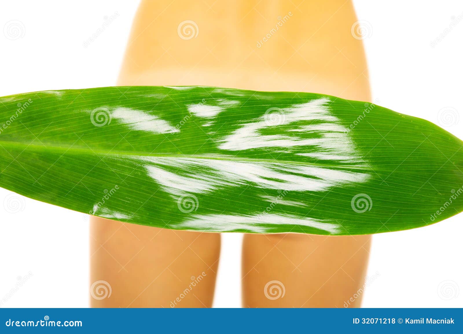 Censorship stock photo. Image of plant, attractive, natural - 32071218