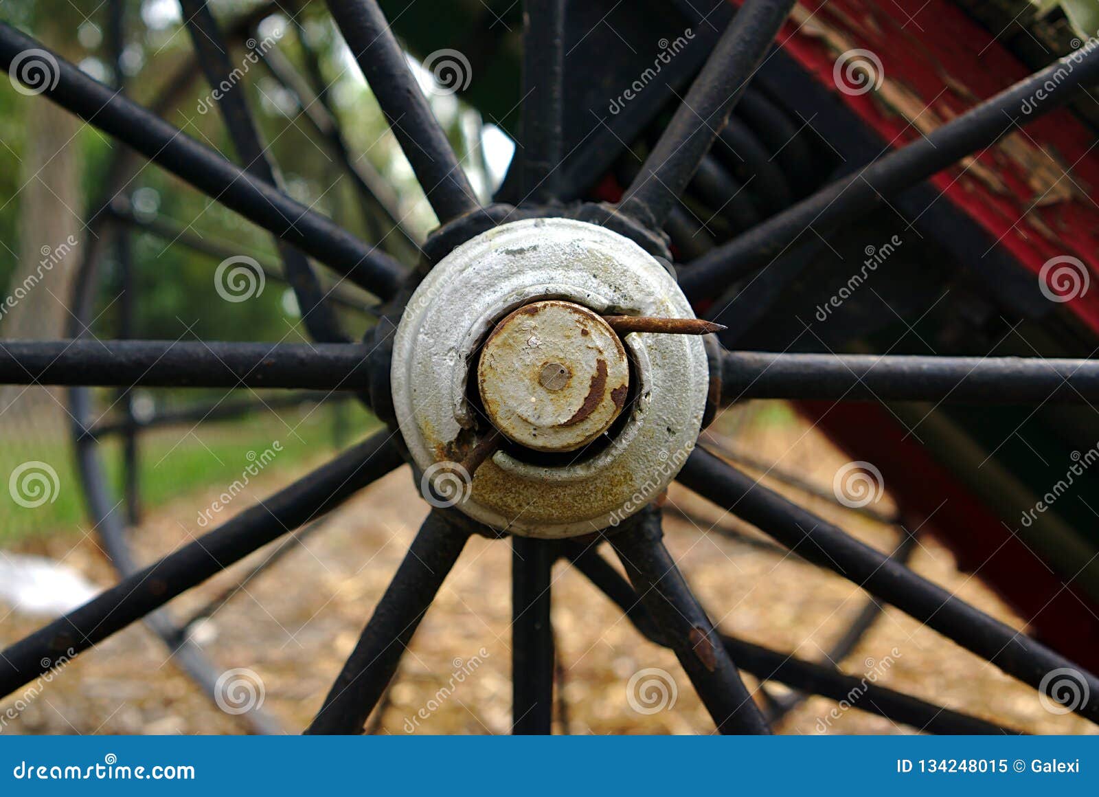 Center view of old abandoned black metal wheel of farm machinery from 19th century