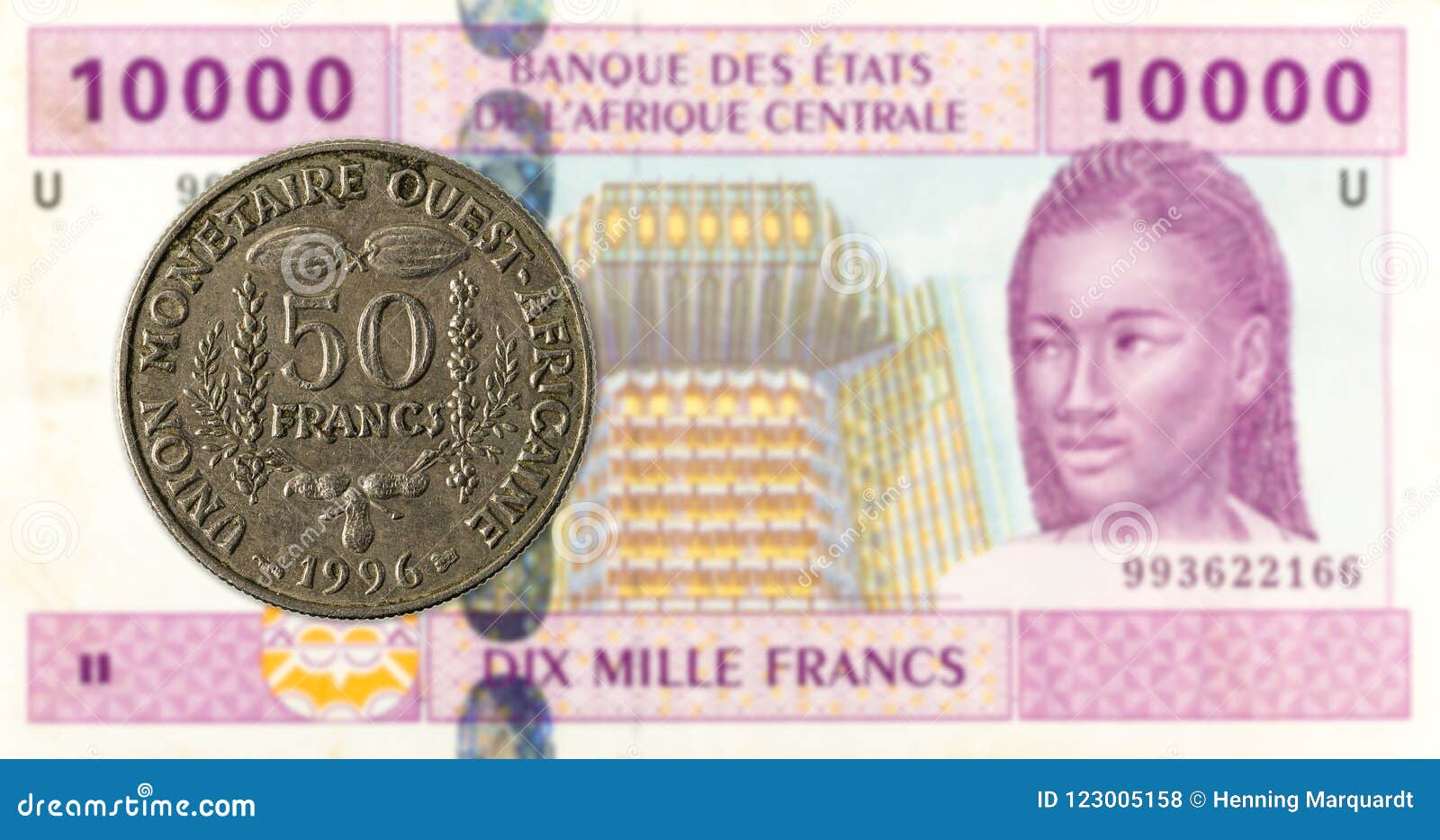 10000 Central African CFA Franc Bank Note Obverse Royalty Free Stock 10000-central-african-cfa-franc-bank-note-obverse-royalty-free-stock