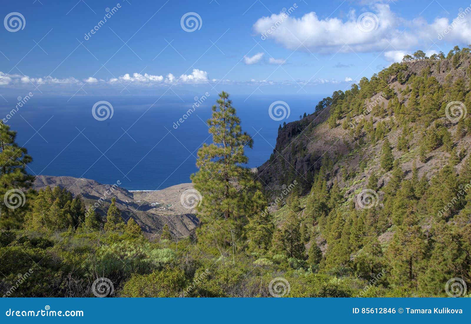 central gran canaria