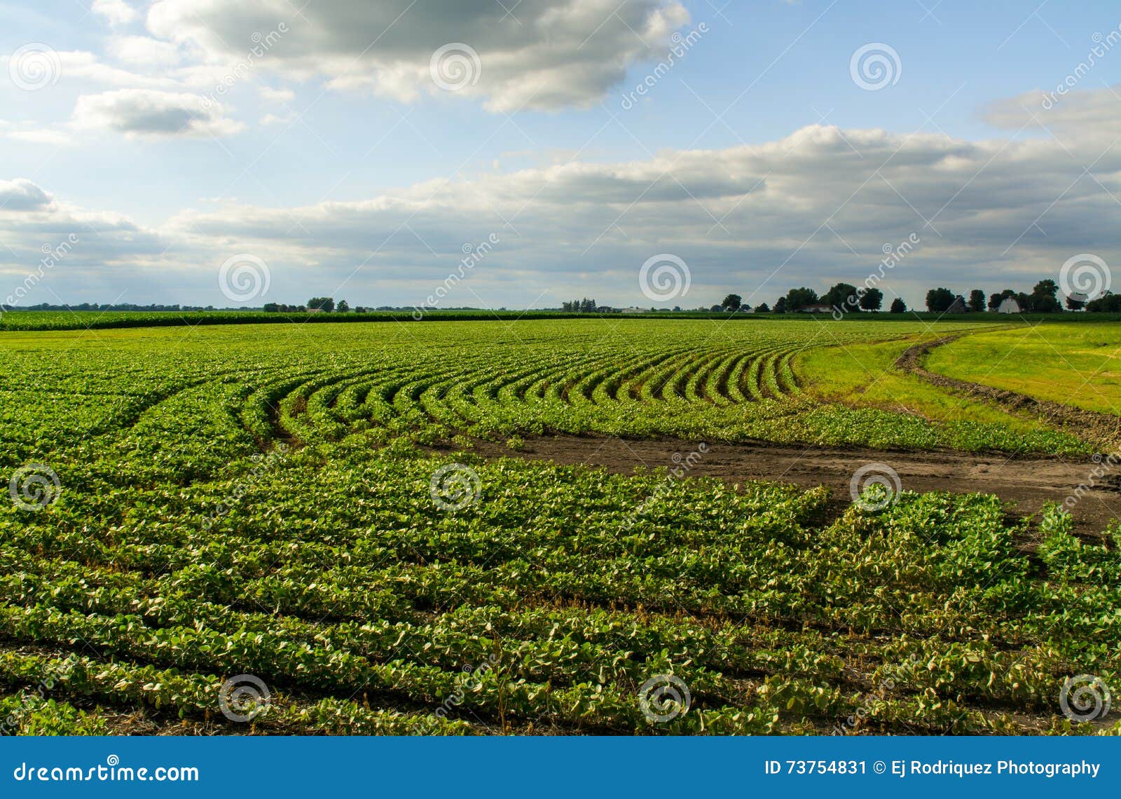 Central Illinois farmland. stock image. Image of area 73754831