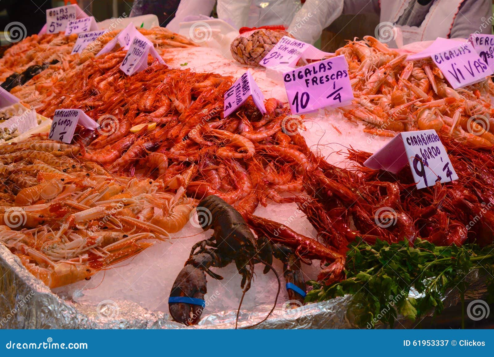 Central Market, Valencia, Spain. Shellfish Counter Stock Image Image