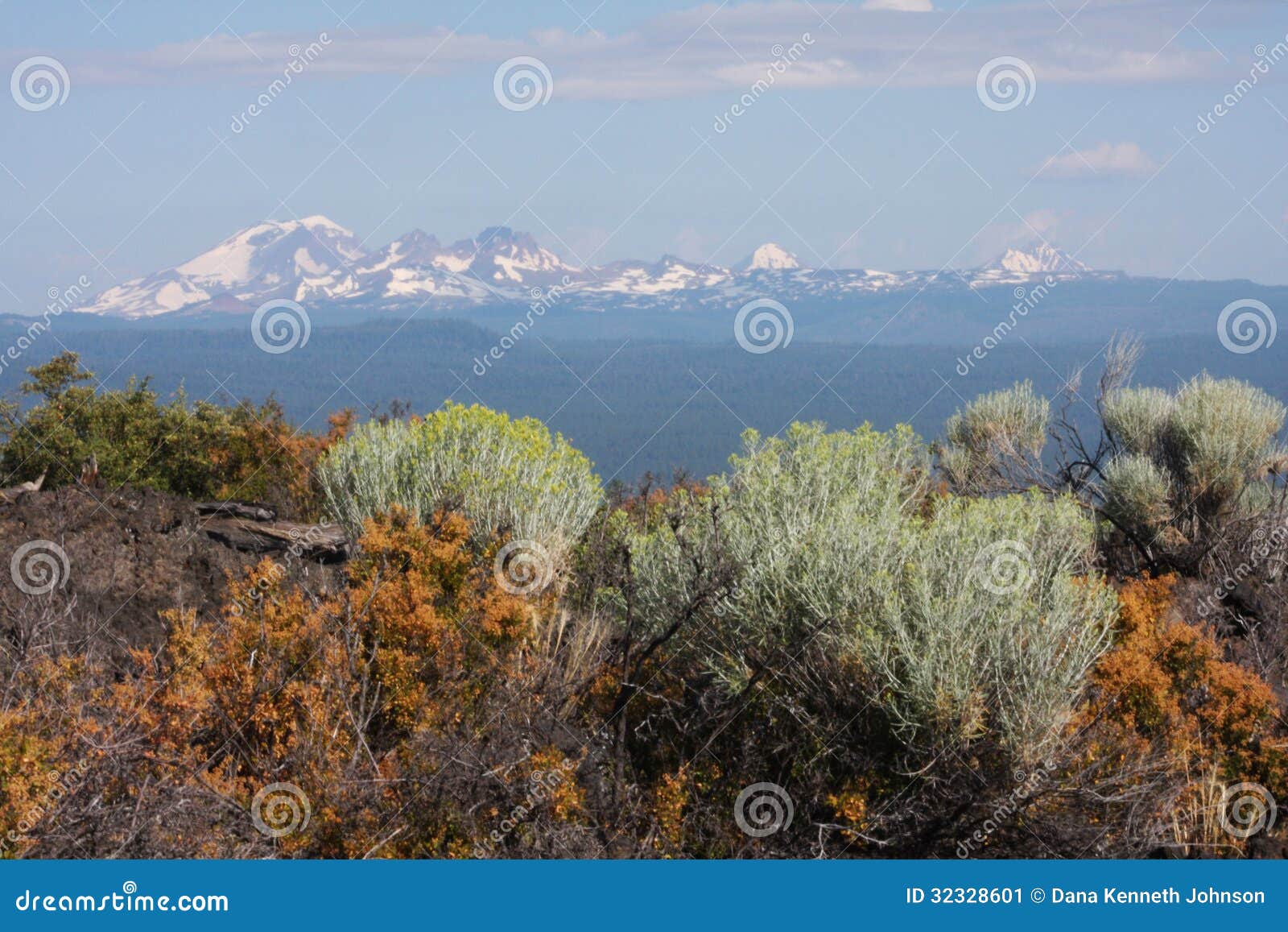 central oregon cascades with rabbitbrush