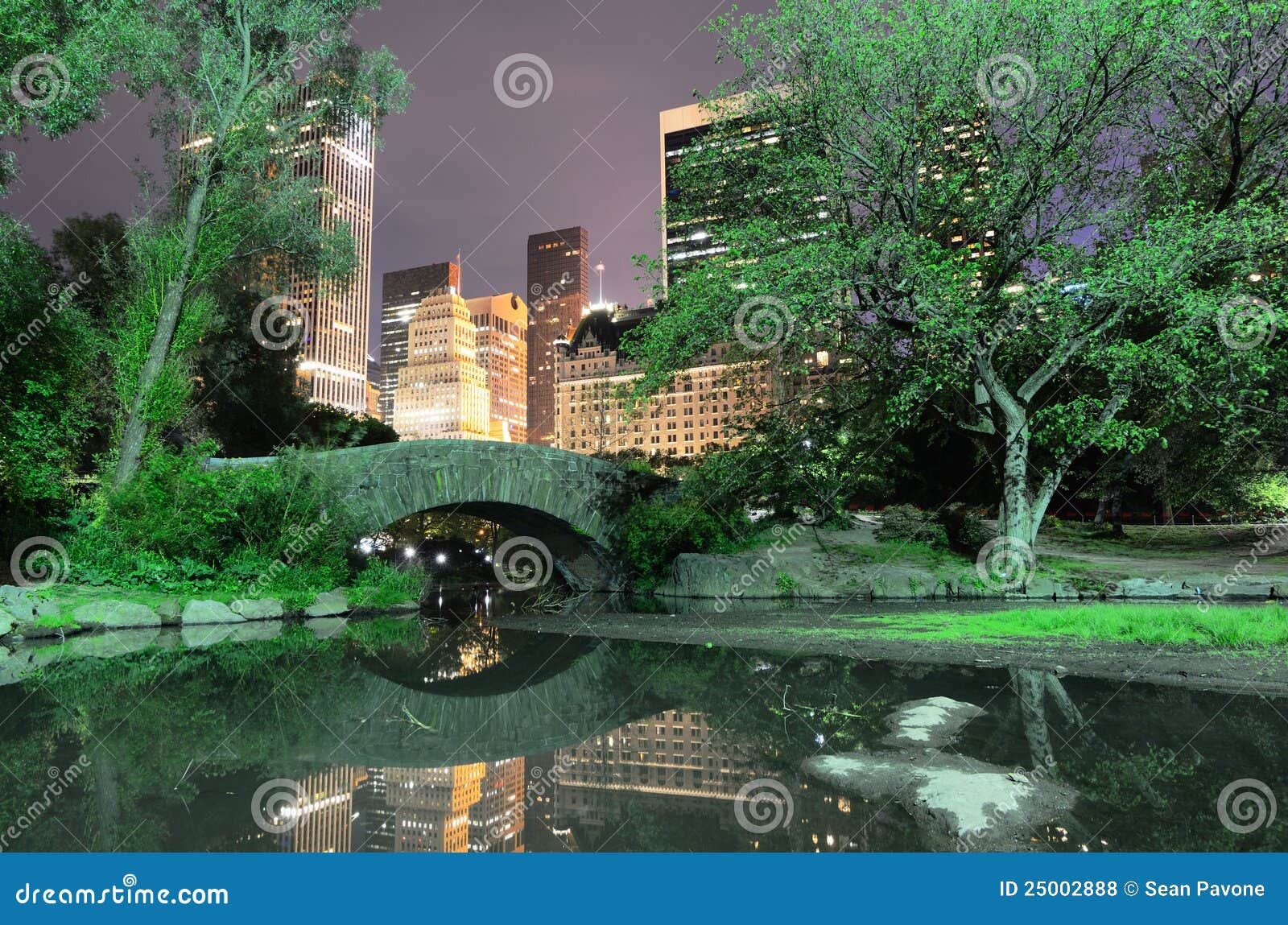 Central Park stock photo. Image of dark, night, bridge - 25002888