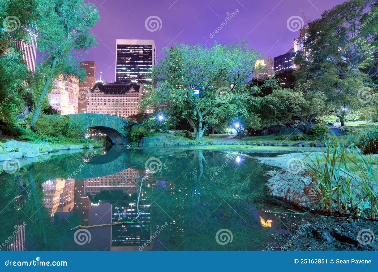 Central Park image stock. Image du central, nuit, stationnement - 25162851