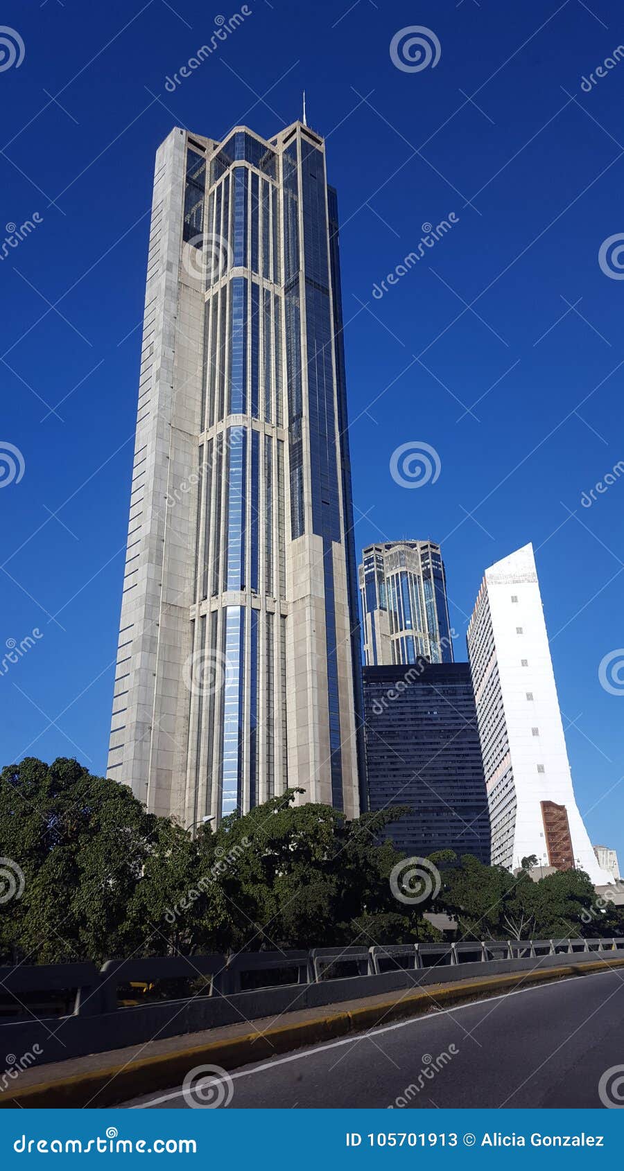 central park, parque central with blue intense sky,caracas venezuela