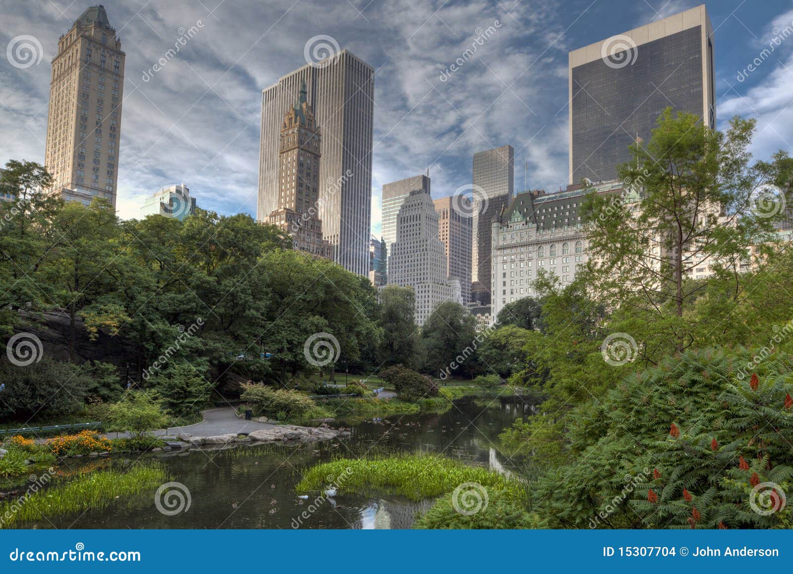 Central Park in the Early Morning at the Pond Stock Photo - Image of ...