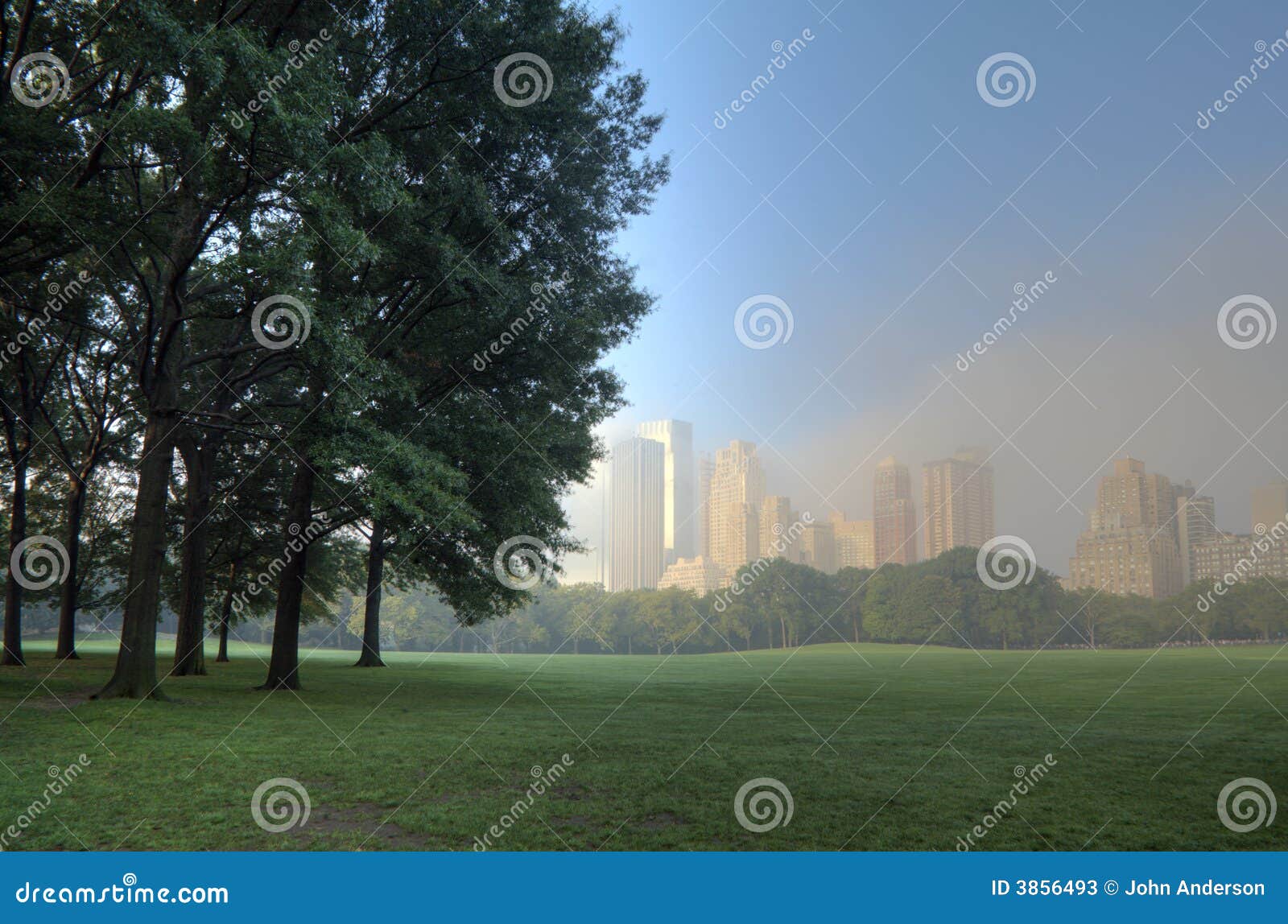 Central park great lawn stock image. Image of dawm, city 3856493