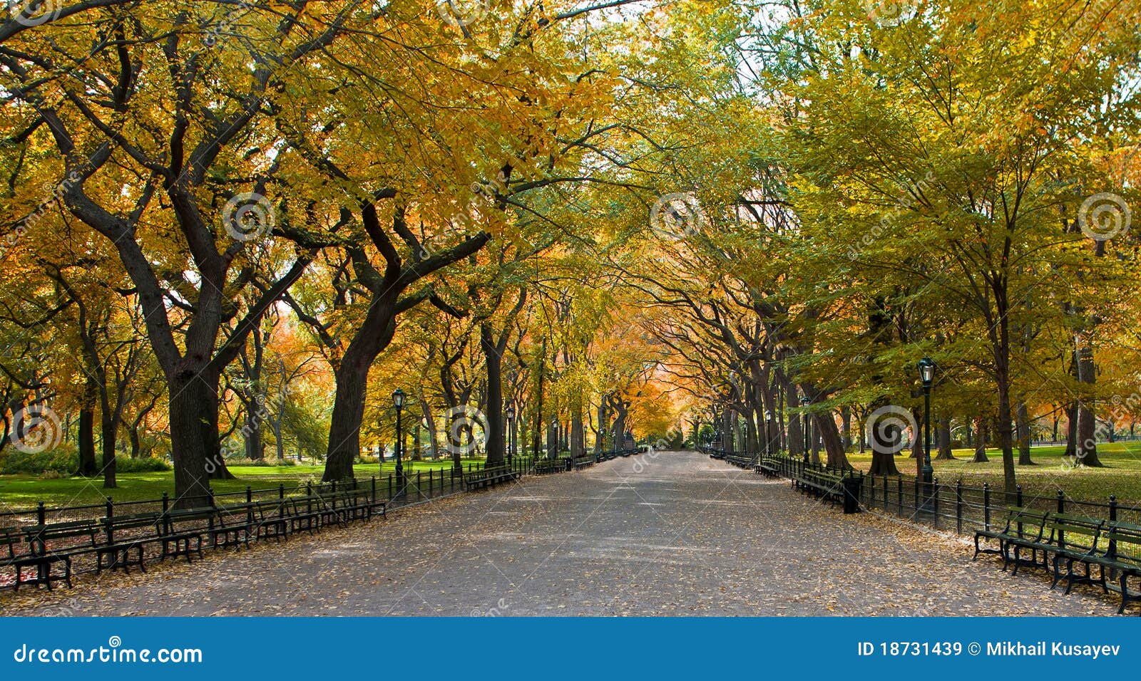 Central Park. Manhattan. Central Park, New York. Mooi park in mooie stad.